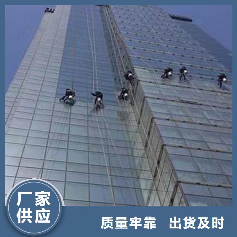 外墙清洗害虫防治生产厂家