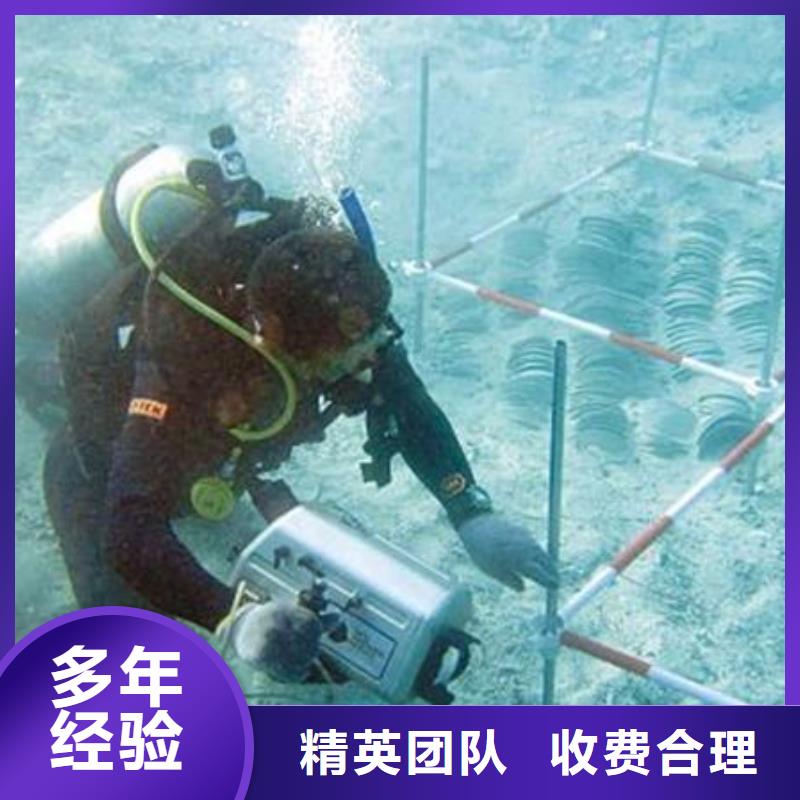 忠县水下打捞凶器货源