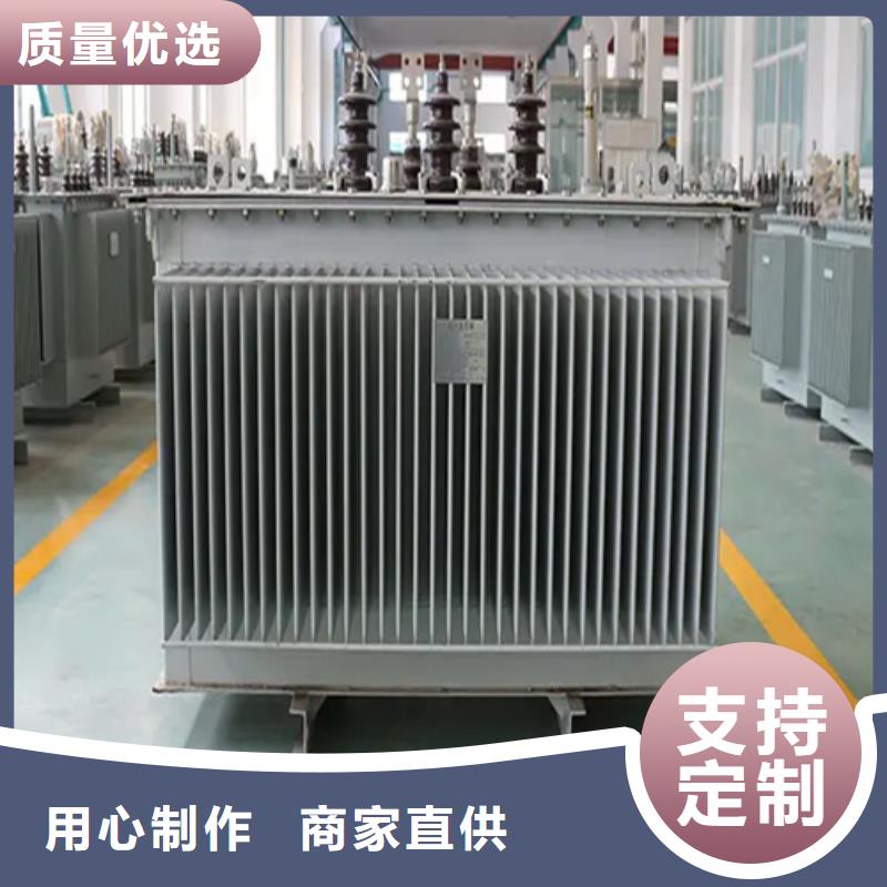 S20-m-160/10油浸式变压器_量身定制