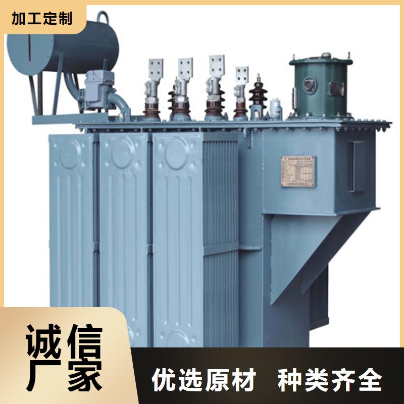 S20-m-100/10油浸式变压器全国配送