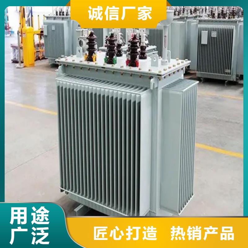 S20-m-800/10油浸式变压器精选厂商