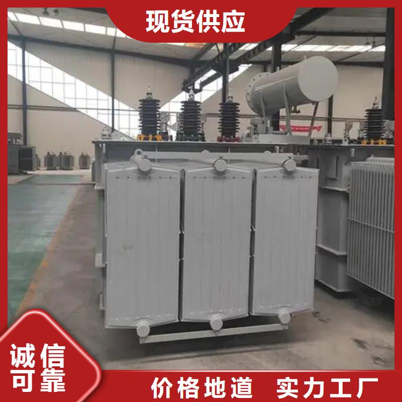 S20-m-800/10油浸式变压器-诚信为本