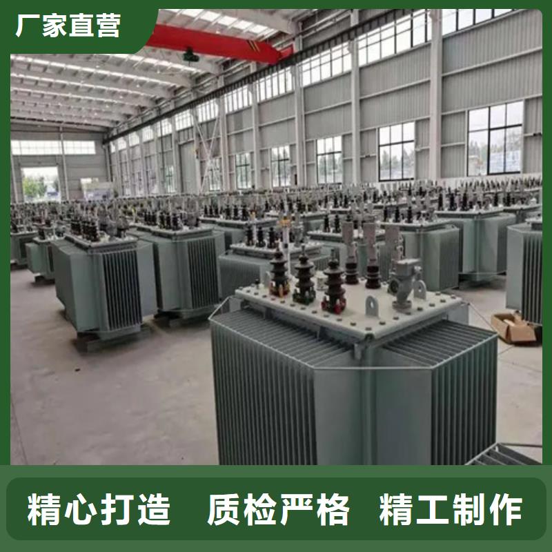 S20-m-160/10油浸式变压器_量身定制
