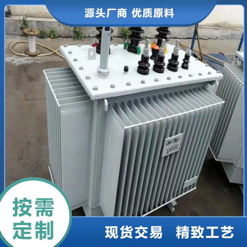 S20-m-160/10油浸式变压器_量身定制