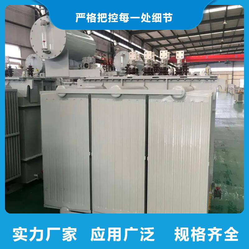 S20-m-800/10油浸式变压器精选厂商