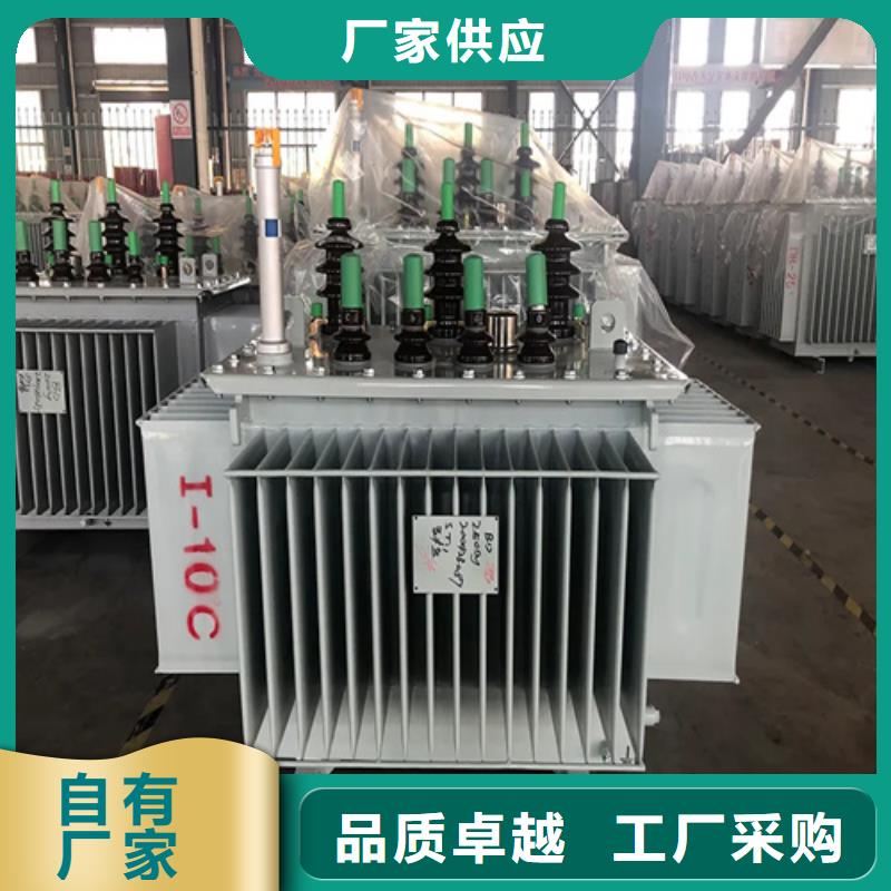 S20-m-250/10油浸式变压器厂家-可来厂考察