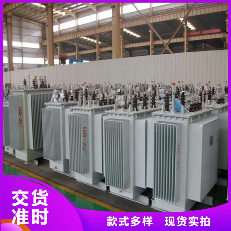 专业销售S20-m-2000/10油浸式变压器-热销