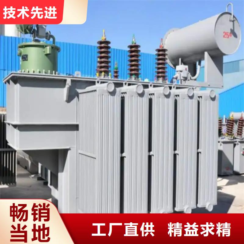 s11-m-100/10油浸式变压器厂家_精益求精
