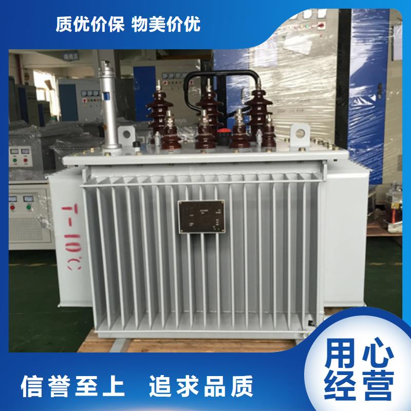 专业销售S20-m-2000/10油浸式变压器-热销