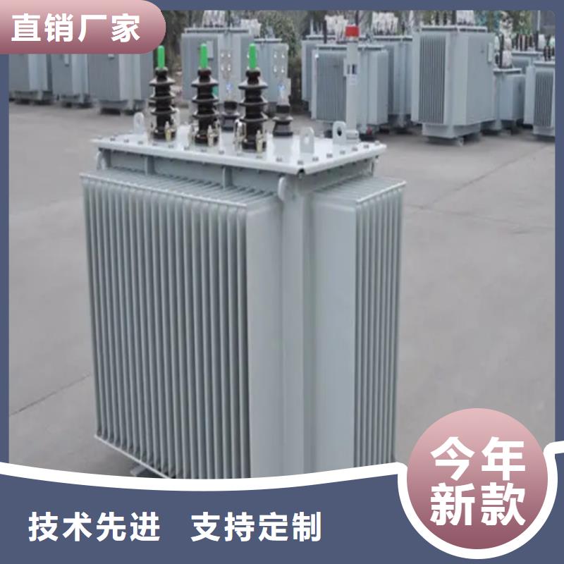 专业销售S20-m-2000/10油浸式变压器-热销