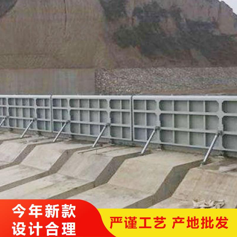  翻板闸门源厂直销