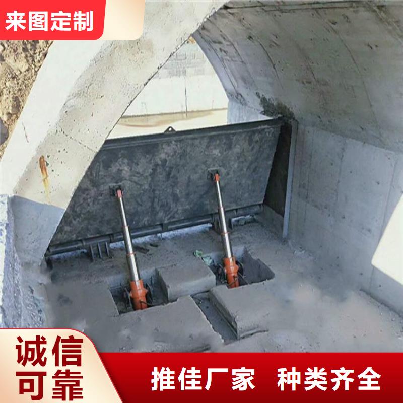 翻板闸门实拍品质保障