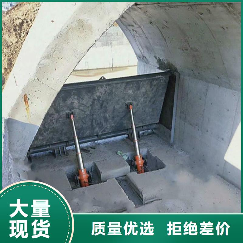  翻板闸门今日新品