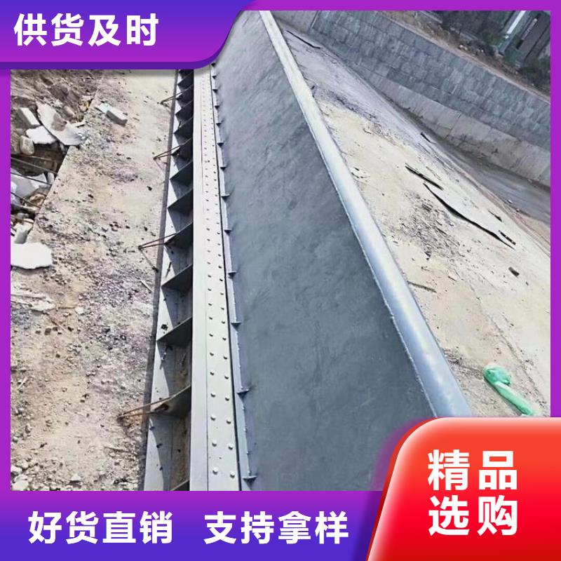  翻板闸门品牌企业