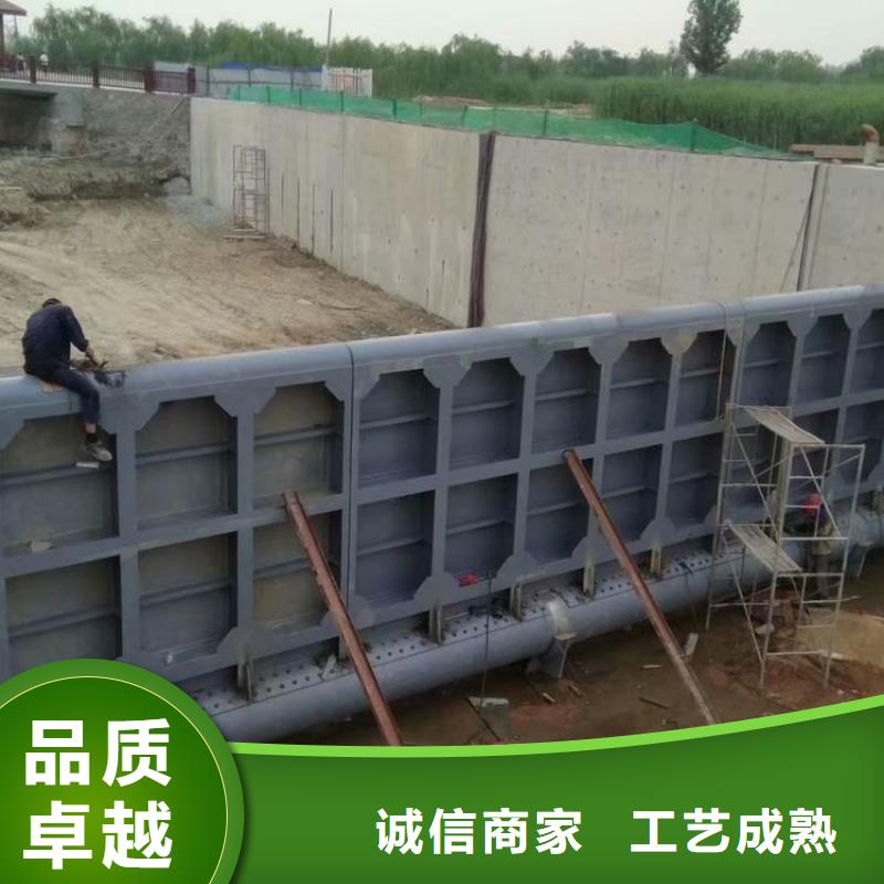  翻板闸门源厂直销