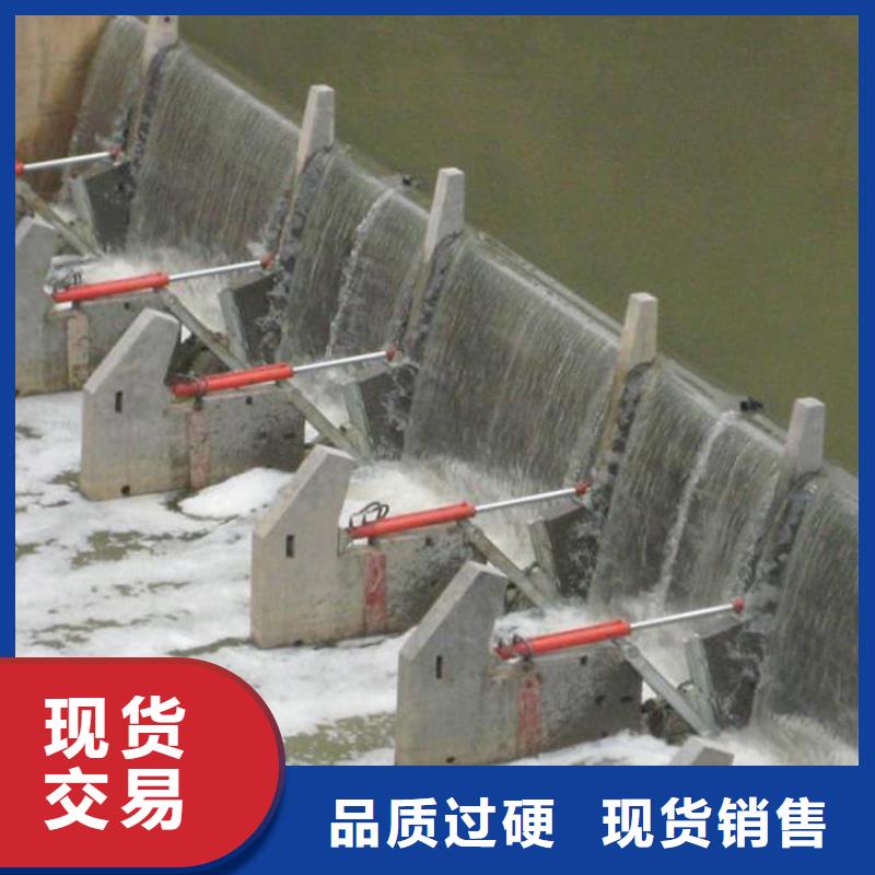  翻板闸门实力厂家