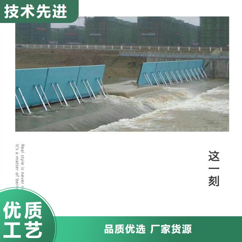  翻板闸门实力厂商