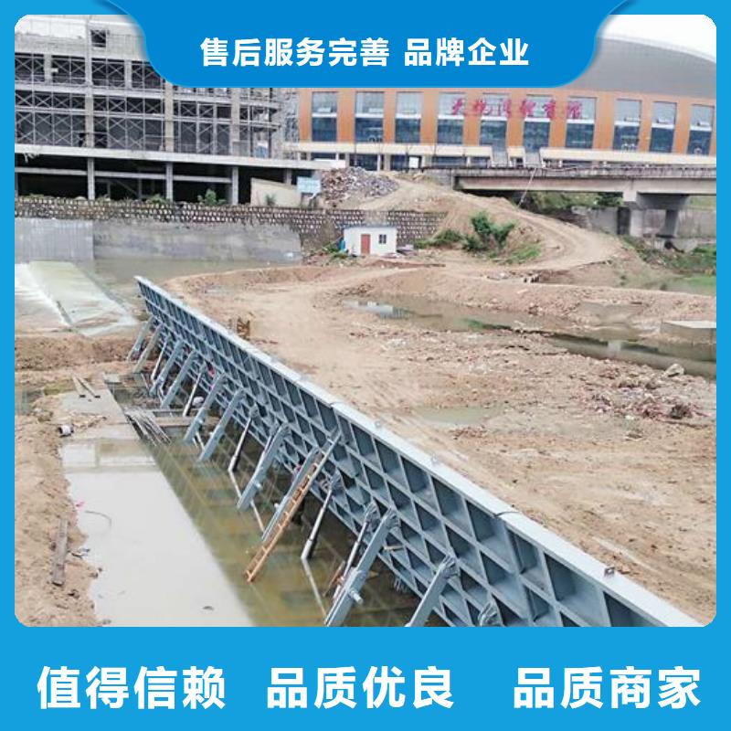 翻板闸门优选厂家