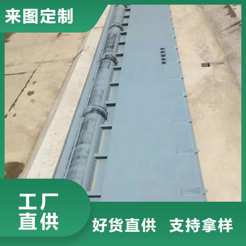  翻板闸门实力厂商
