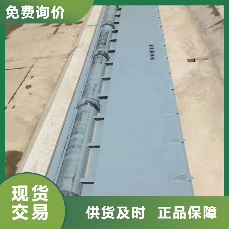  翻板闸门厂家直销直供