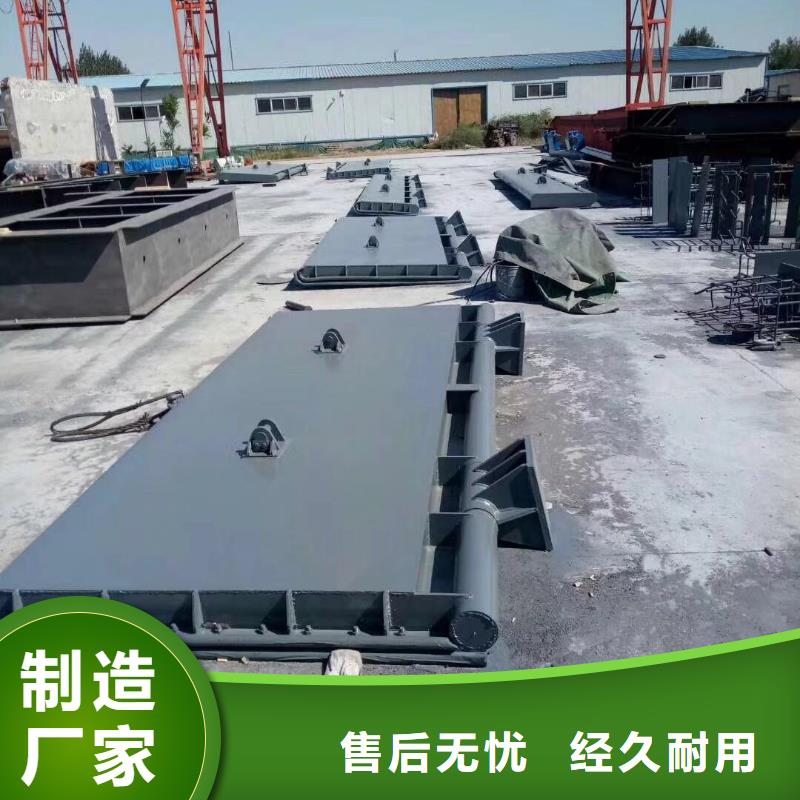  翻板闸门实力厂商