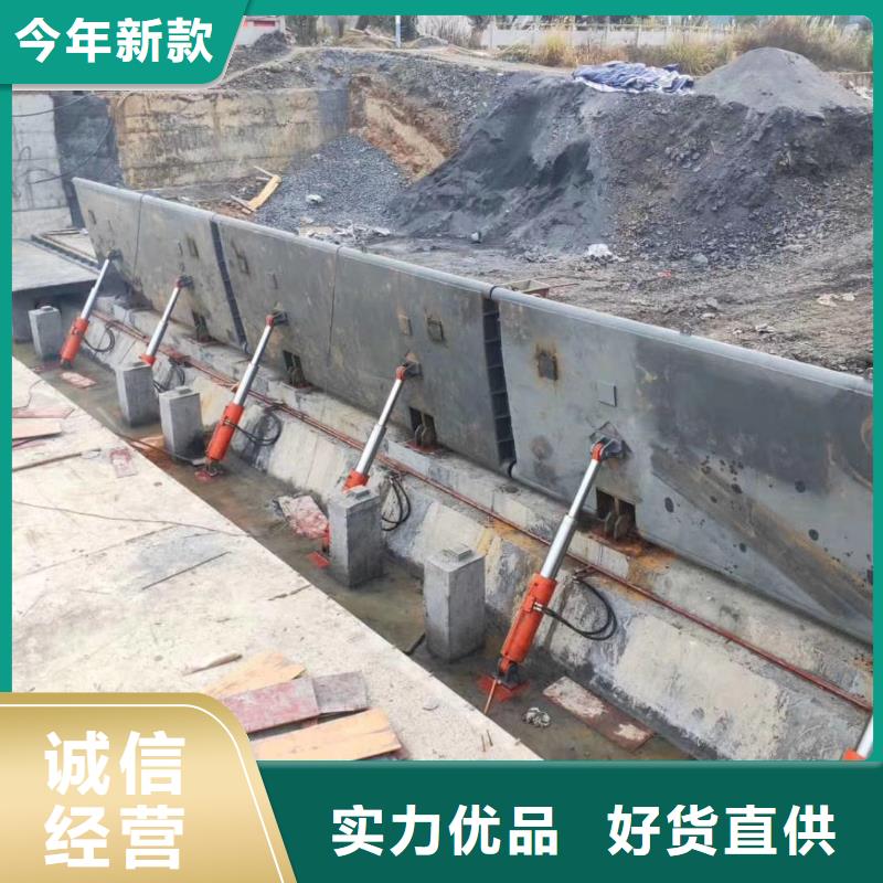  翻板闸门实力公司