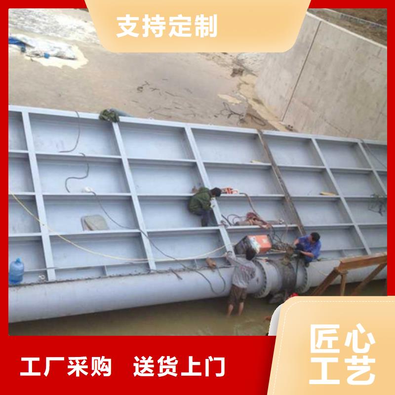 【翻板闸门铸铁镶铜闸门现货直供】