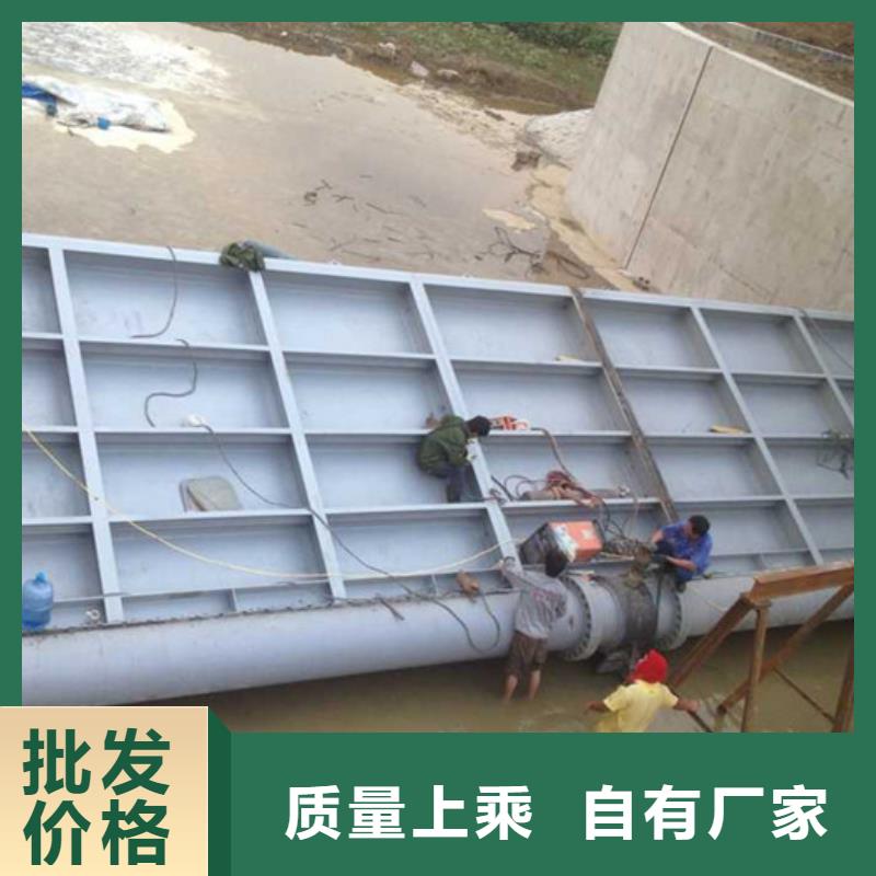 翻板闸门优选厂家