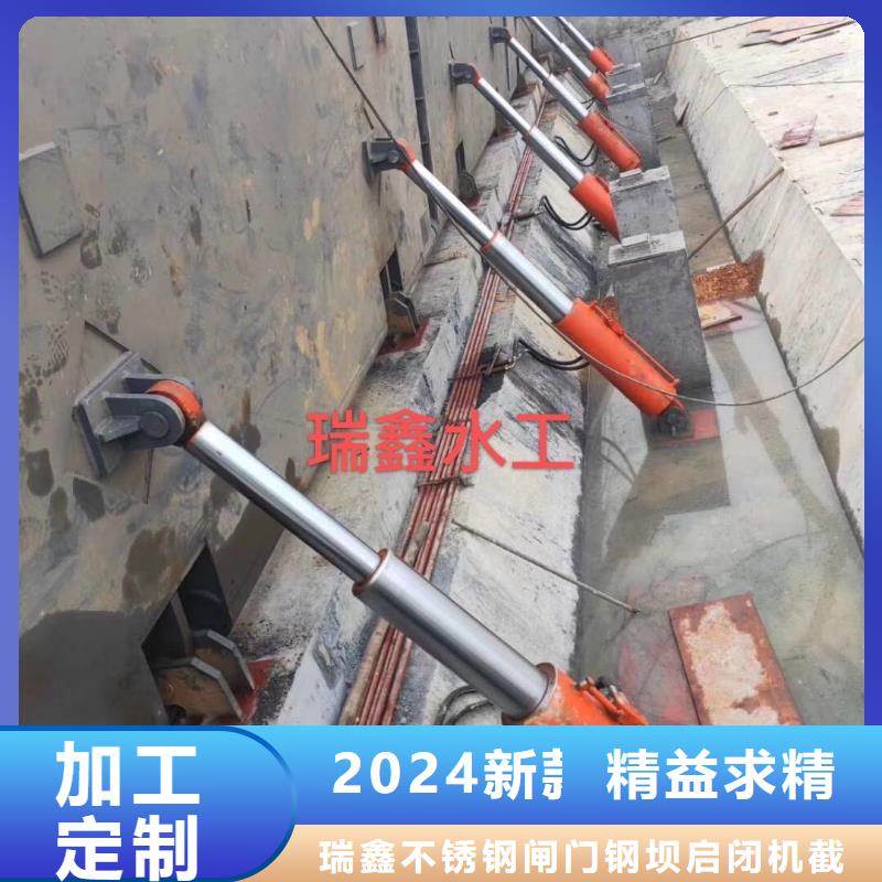  翻板闸门实力公司