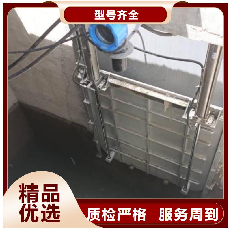 液压平板闸门铸造金品
