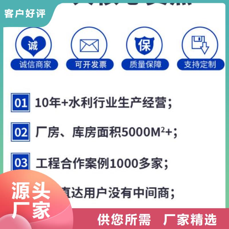 液压平板闸门铸造金品