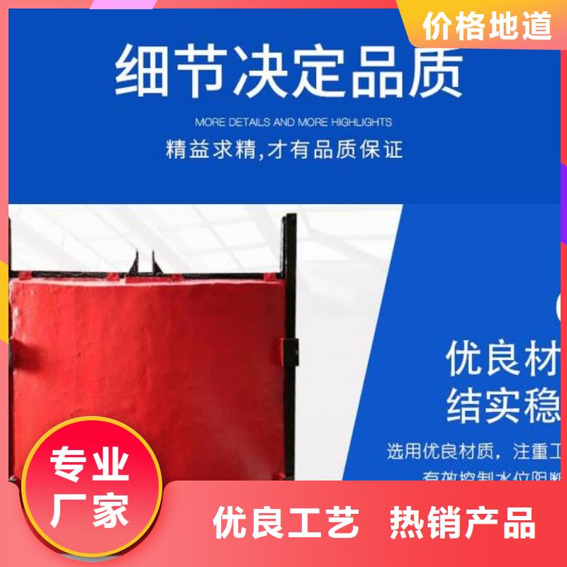 【截流井闸门渠道铸铁闸门专注质量】
