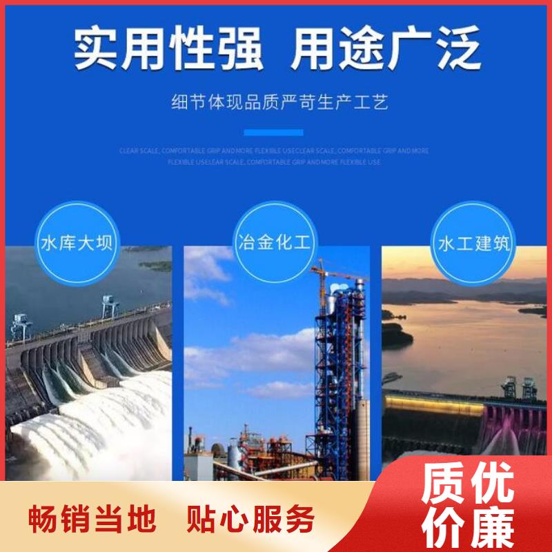 截流井闸门合页钢坝满足客户需求