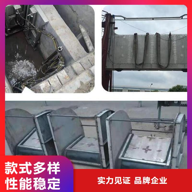液压平板闸门铸造金品