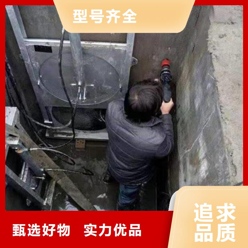 截流井闸门闸门启闭机专业品质