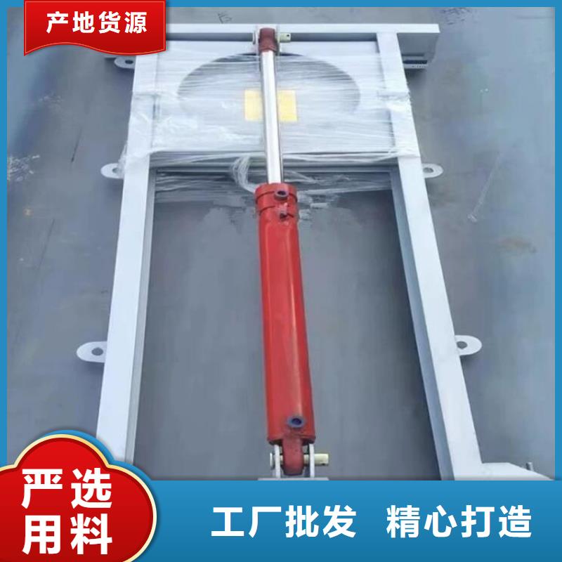截流井闸门闸门启闭机专业品质