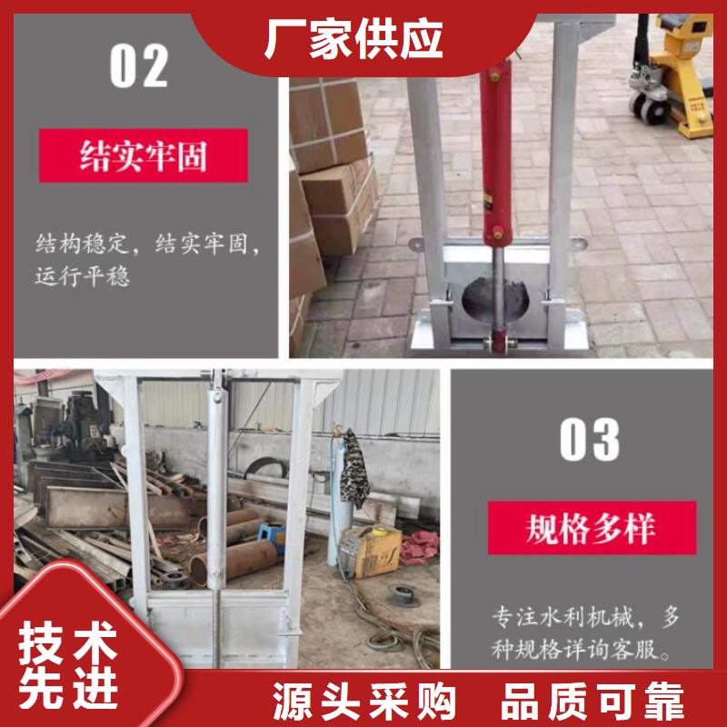 一体化泵站闸门
