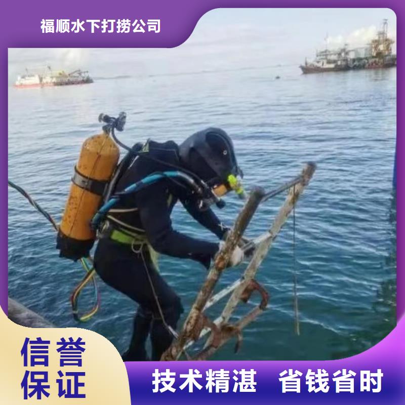 重庆市渝中区水下打捞手表快速到达