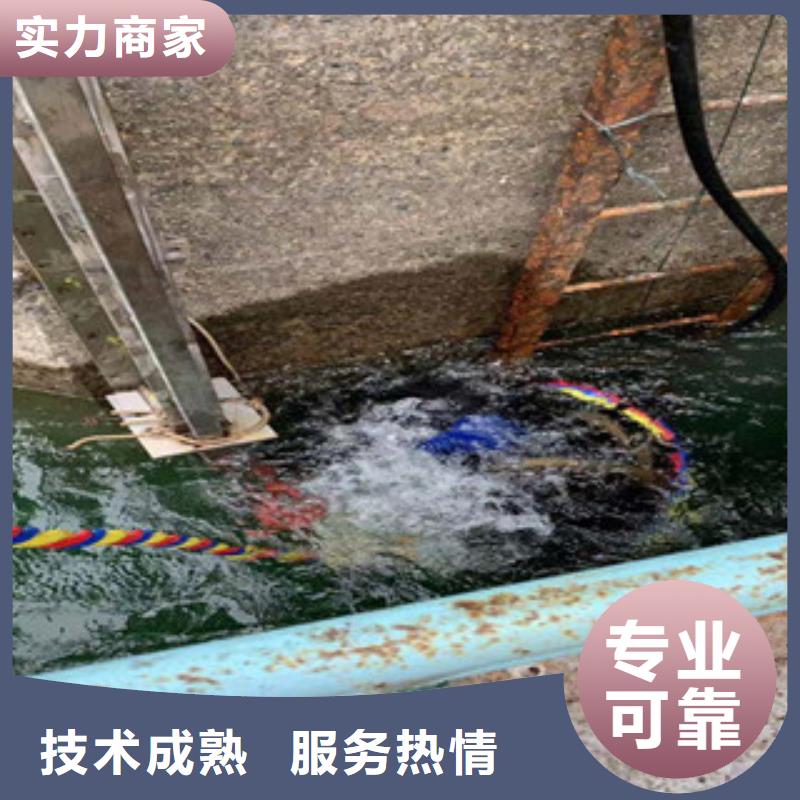 蛙人服务公司、蛙人服务公司生产厂家-找苏龙水下工程有限公司
