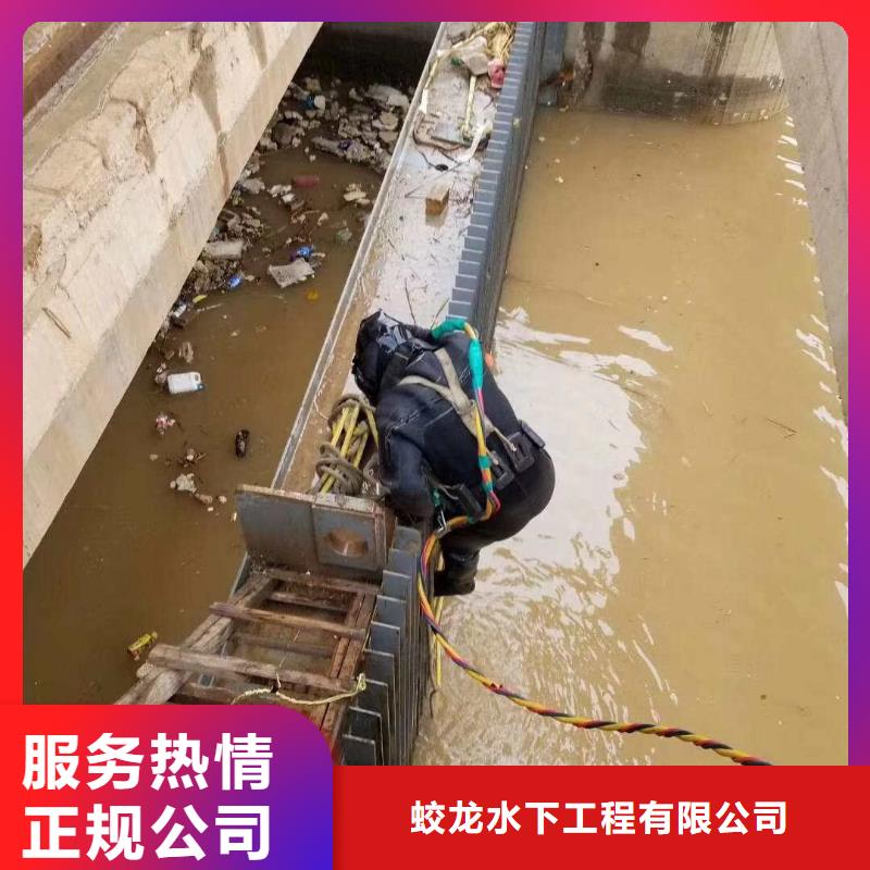 定做蛙人水库闸门清理的生产厂家