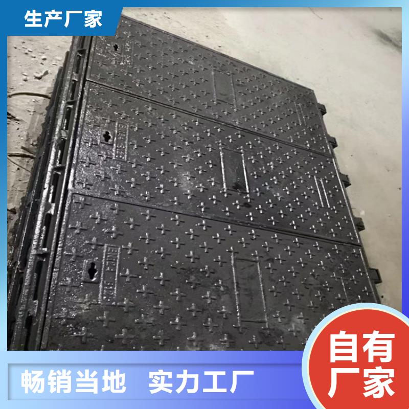 绿化带用球墨铸铁井盖-绿化带用球墨铸铁井盖专业品质