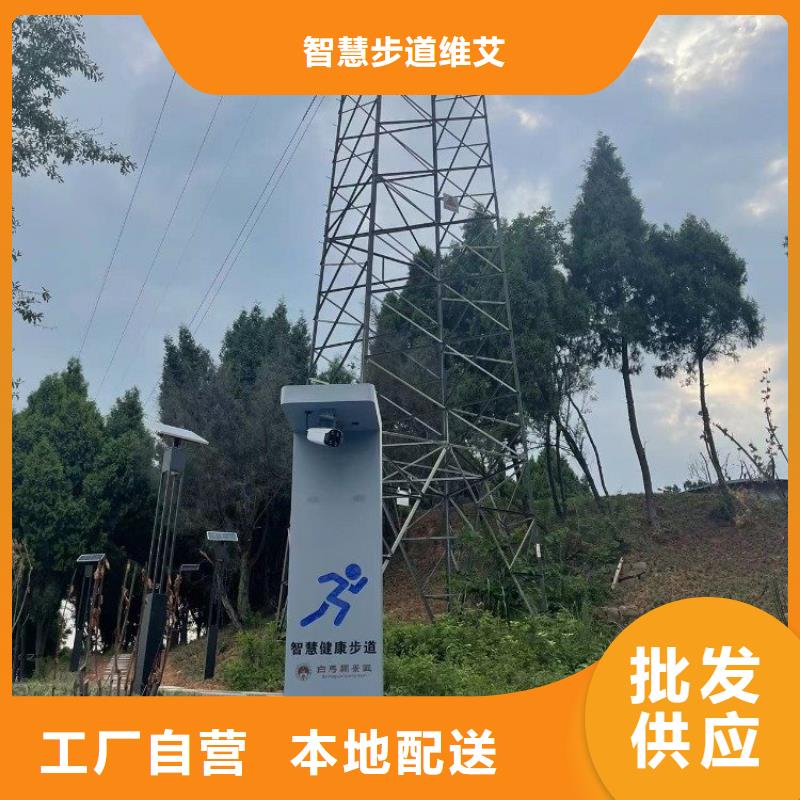 智慧智慧步道大屏保障
