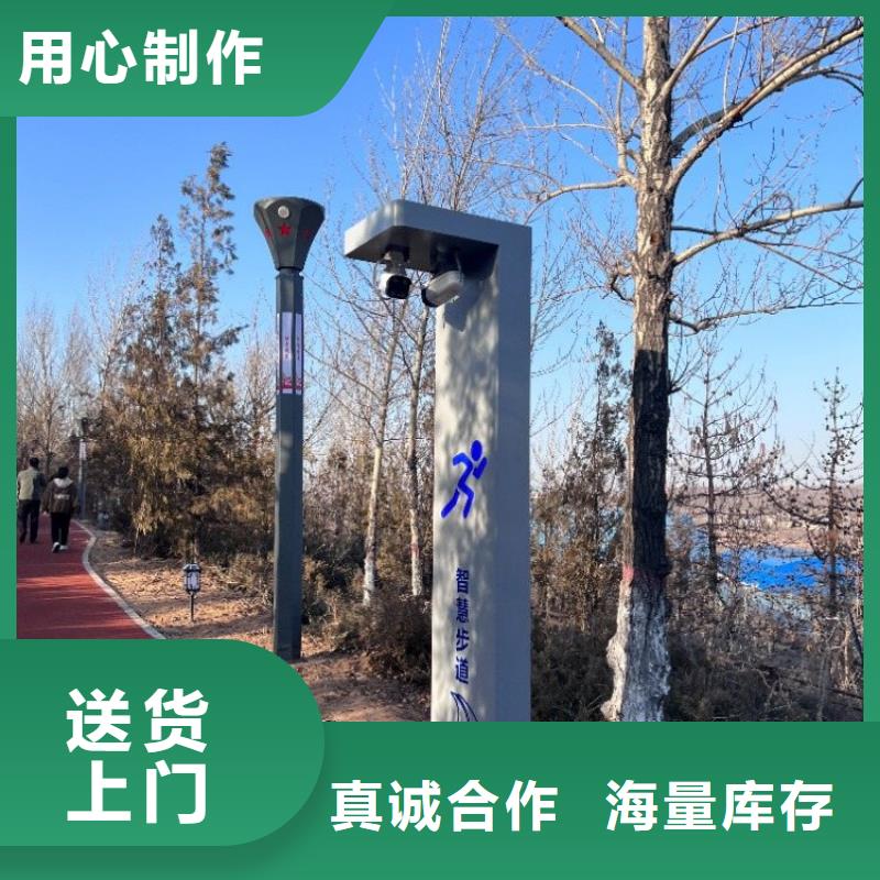 公园智慧跑道价格(维艾狄尔)