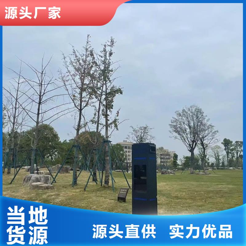 ai智能公园费用（维艾狄尔）