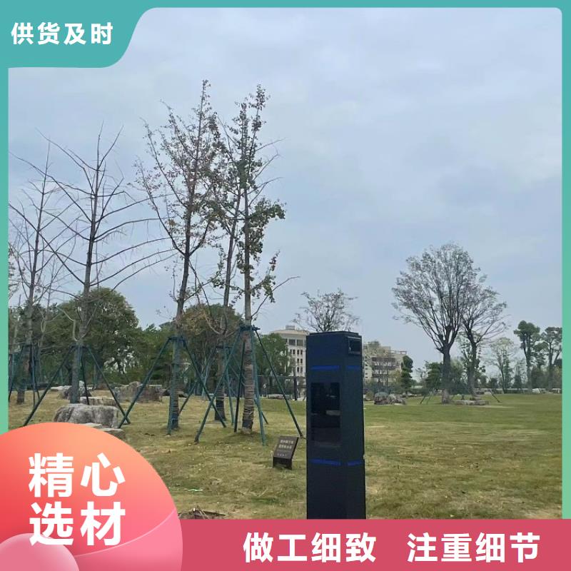 智慧步道系统厂家（维艾狄尔）