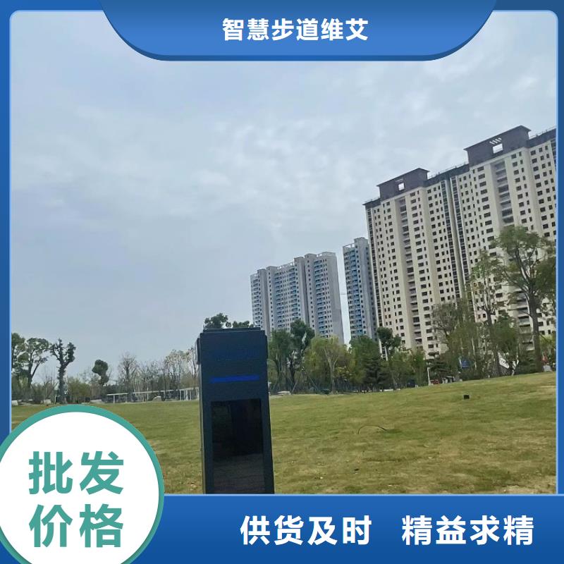 ai虚拟骑行互动造价（维艾狄尔）