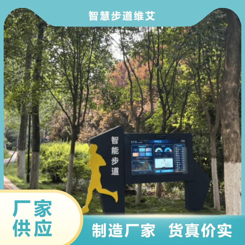 ai虚拟骑行费用（维艾狄尔）