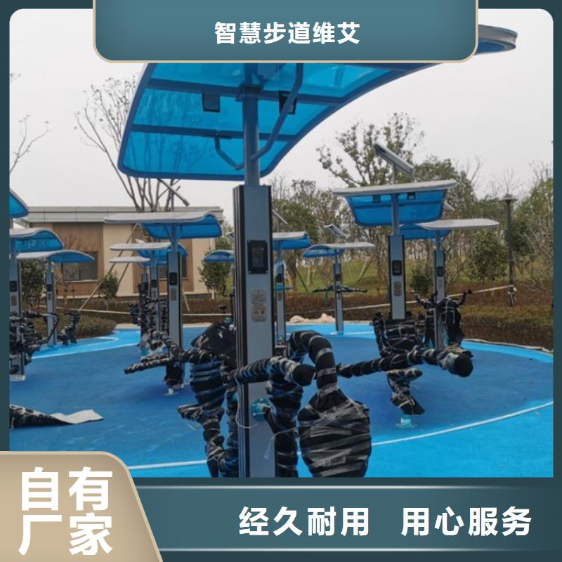 ai虚拟骑行费用(维艾狄尔)