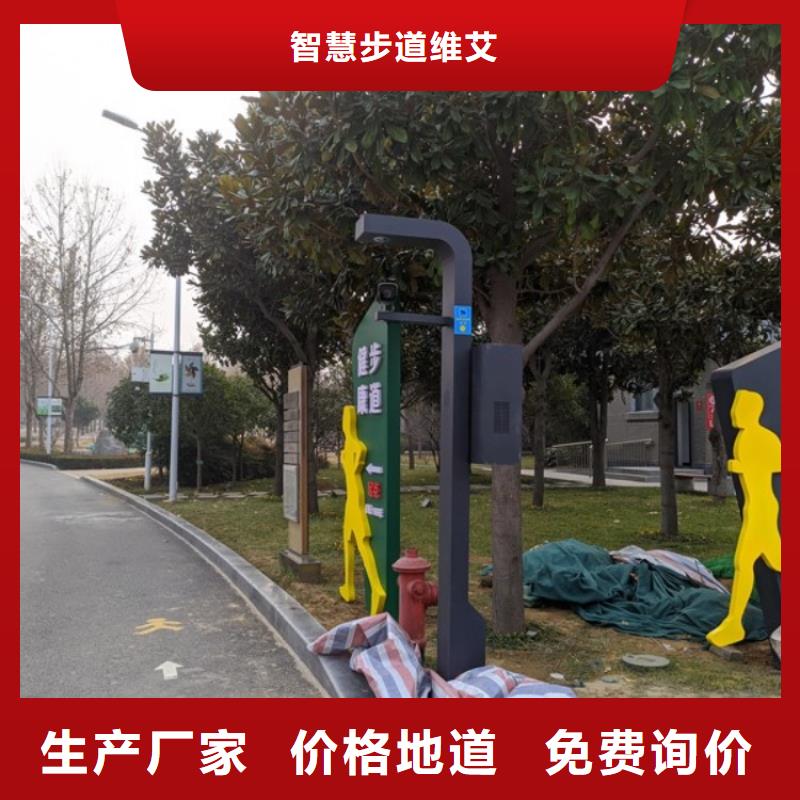 ai虚拟骑行费用(维艾狄尔)