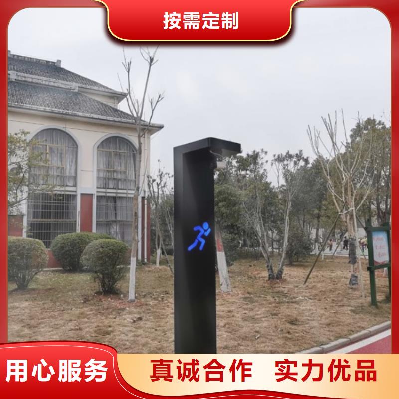 ai虚拟骑行费用(维艾狄尔)